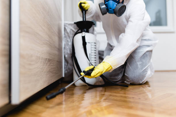 Best Pest Control Treatment  in Balch Springs, TX