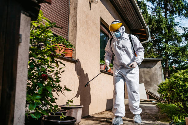 Best Residential Pest Control  in Balch Springs, TX