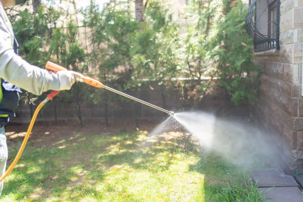 Best Rat Extermination Near Me  in Balch Springs, TX